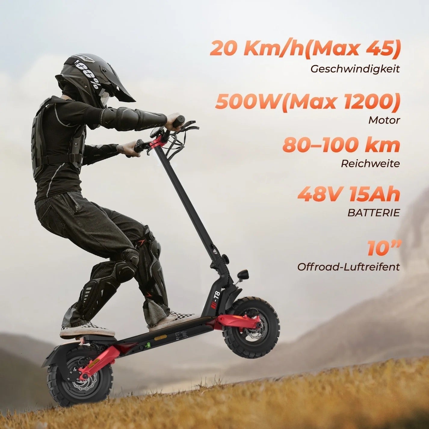 iScooter 1200W T8 Offroad E-Scooter Mit Straßenzulassung (ABE/eKFV)